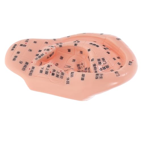 YOSADIER Genauige Ohrreflexzonenmodell -lernmodell Simulation Für Tcm Education Professionelle Akupunkturohranzeige Für Massage -training YOSADIER Genauige Ohrreflexzonenmodell -lernmodell Simulation Für Tcm Education Professionelle Akupunkturohranzeige Für Massage -training von YOSADIER