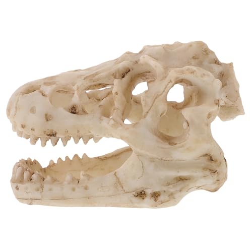 YOSADIER Resin Dinosaur Skull Model Handgefertigtes Realistisches Schädelmodell aus für Dinosaurierliebhaber Sammler für Dekoration und Lernen YOSADIER Resin Dinosaur Skull Model Handgefertigtes Realistisches Schädelmodell aus für Dinosaurierliebhaber Sammler für Dekoration und Lernen von YOSADIER