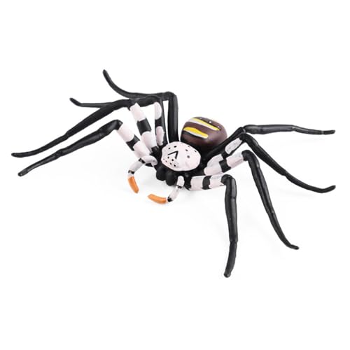YPREWY Spiders Gogga Model Realistisches Scaraba Spielzeug Für Kinder Und Sammler Spielzeug Dekorative Sammlung Geschenk von YPREWY