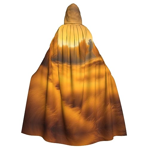 YQxwJL Herbst Golden Grass Landscapes Print Uni Kapuzenumhang Kapuzenmantel Hexe Vampir Zauberer Robe für Halloween Cosplay Kostüme von YQxwJL