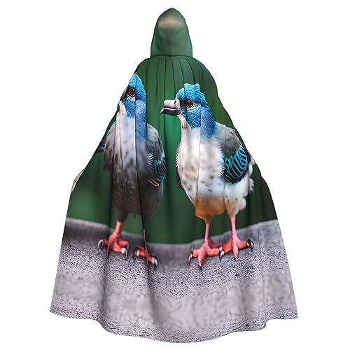 YQxwJL Uni Kapuzenmantel mit zwei Vögeln, Hexen-Vampir-Zauberer-Robe für Halloween, Cosplay-Kostüme von YQxwJL