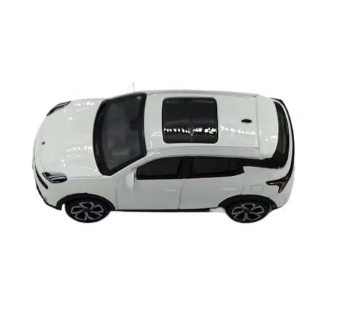 YRXIAO Metall-Automodelle bausatz 1:64 Für Lynk & Co 06 Cast Statisches Automodell Geeignetes Sammlungsautomodell Sportwagen Ausstellungsornamentmodell Für Wohndekorationen von YRXIAO