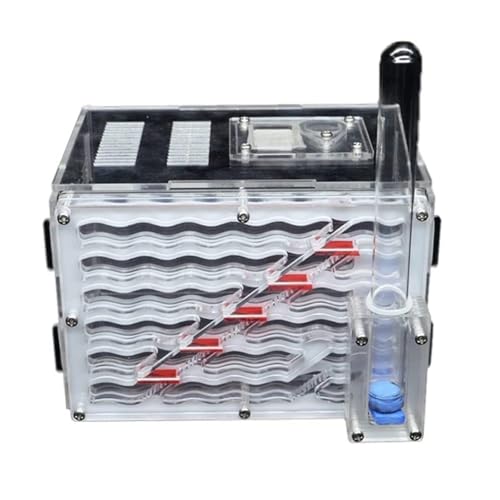 YTBHSHXZ, Ameisenfarm, Nest, Ameisenburg, Futtersystem, Lebensraum, Puzzle, Werkzeug, Ameisenfarm mit Hydrationszone, Ameisenfarm, Ameisenhaus YTBHSHXZ, Ameisenfarm, Nest, Ameisenburg, Futtersystem, Lebensraum, Puzzle, Werkzeug, Ameisenfarm mit Hydrationszone, Ameisenfarm, Ameisenhaus von YTBHSHXZ