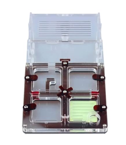 YTBHSHXZ, Ameisenfarm Nest Acryl Ameisenfarm DIY Familie Studie Ameisenverhalten Ameisenburg feuchtigkeitsspendend natürlich Eco Display Box Ameisenhaus (Bruin) von YTBHSHXZ
