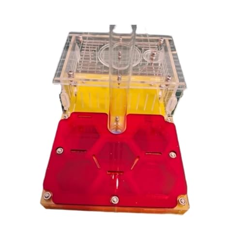 YTBHSHXZ, Ameisenfarm Nest Ameisenfarm Flugzeug Ameisenburg Acryl Ameisennest Bauernhof Studie Ameisenhaus Haus Und Schule von YTBHSHXZ