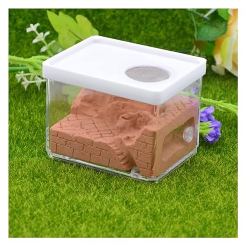 YTBHSHXZ, Ameisenfarm Nest Gips Ameisenfarm Platz Nest Haustier Ameisenhaufen Insektenschrank Ameisennest Werkstatt Verwendet für Ameisenwissenschaft Bildung Ameisenhaus YTBHSHXZ, Ameisenfarm Nest Gips Ameisenfarm Platz Nest Haustier Ameisenhaufen Insektenschrank Ameisennest Werkstatt Verwendet für Ameisenwissenschaft Bildung Ameisenhaus von YTBHSHXZ