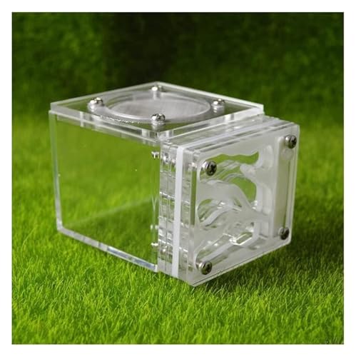 YTBHSHXZ, Ameisenfarm Nest Platz Ameisenfarm Acryl Ameisenburg Klar Handgefertigt Ameisenlebensraum Einzigartige Pädagogische Ameisenkolonie Ökosystem Ameisenhaus(White) von YTBHSHXZ
