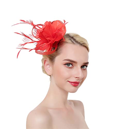 YTBHSHXZ， Blume Solide Fascinator Auf Stirnband Haarnadeln for Frauen Feder Party Hochzeit Haar Clips(Red) von YTBHSHXZ
