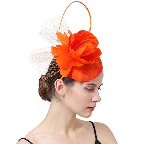 YTBHSHXZ， Braut Hochzeit Fascinator Hüte Frauen Feder Bräute Haar Zubehör Party Abendessen Haar Clip Kopfbedeckungen(GN1) von YTBHSHXZ