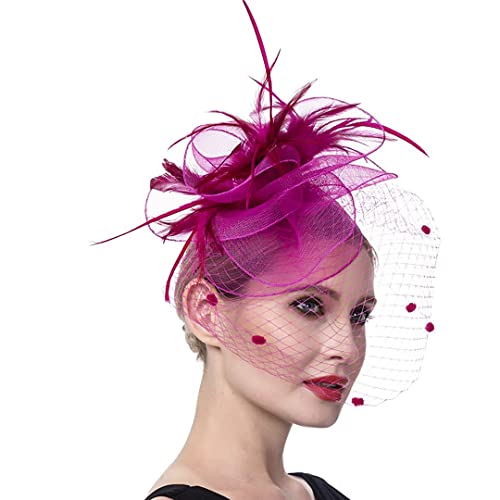 YTBHSHXZ， Damen Fascinator Cocktail Party Hut Hochzeit Kirche Blume Federhut Mesh Kopfbedeckung(A) von YTBHSHXZ