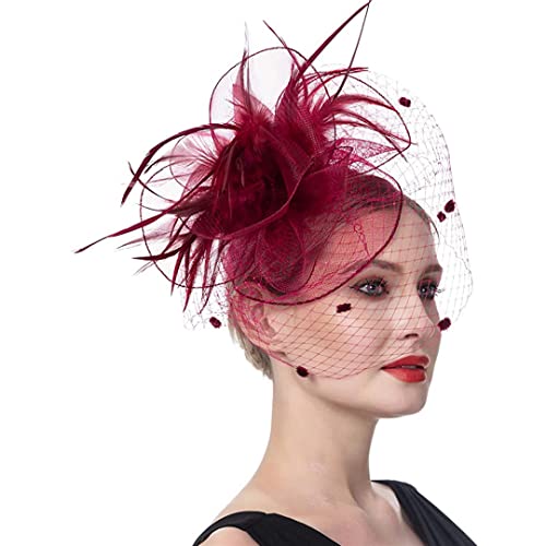YTBHSHXZ， Damen Fascinator Hut Cocktail Party Hochzeit Kirche Kleid Blume Federhut Mesh Kopfbedeckung(H) von YTBHSHXZ