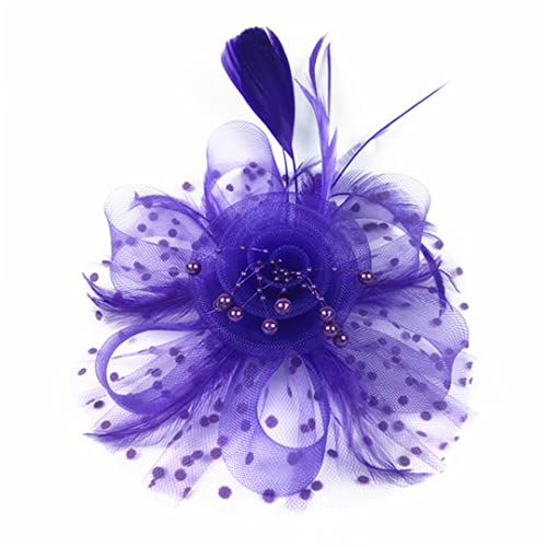 YTBHSHXZ， Damen Mesh Schleier Federn Fedoras Hut Haarspangen Hochzeit Braut Cocktail Kopfbedeckung Haar-Accessoire(Purple) von YTBHSHXZ