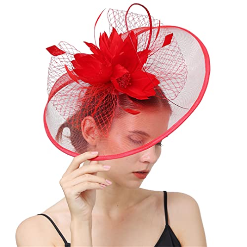 YTBHSHXZ， Damen Mesh Schleier Hut Haarspange Hochzeit Fascinator Wave Point Braut Hochzeit Haarnadeln Kopfbedeckung(Grey) von YTBHSHXZ