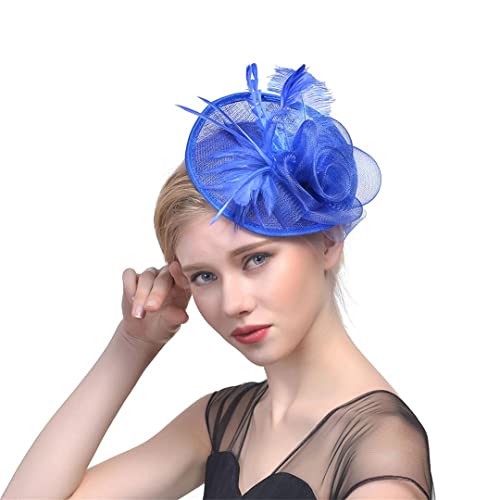 YTBHSHXZ， Fascinator Federn Kopfschmuck Cocktail Tea Party Kopfbedeckung Blume Mesh Kopfbedeckung Haarspange for Hochzeit(Champagne) von YTBHSHXZ