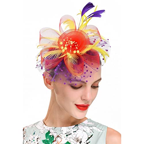 YTBHSHXZ， Fascinator for Damen, Blumen, Netzbänder, Federn, Hut, Kopfbedeckung oder Clip, Cocktail-/Teeparty-Kopfbedeckung(P) von YTBHSHXZ