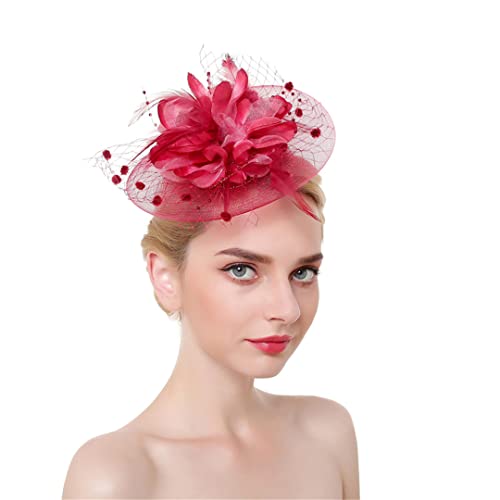 YTBHSHXZ， Feder Fascinator Stirnband Haar Clips Cocktail Solid Mesh for Frauen Haarnadeln Haar Band Kopfbedeckungen(Wine Red) von YTBHSHXZ