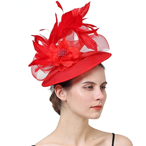 YTBHSHXZ， Frauen Hochzeit Chapeau Party Kirche Fascinator Kopfbedeckung Feder Haar Zubehör(Purple) von YTBHSHXZ