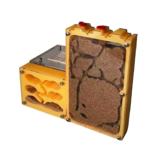YTBHSHXZ, Kapazität des Nestes der Ameisenfarm Ameisenburg Acryl Ameisenfarm Ameisenhaus von YTBHSHXZ
