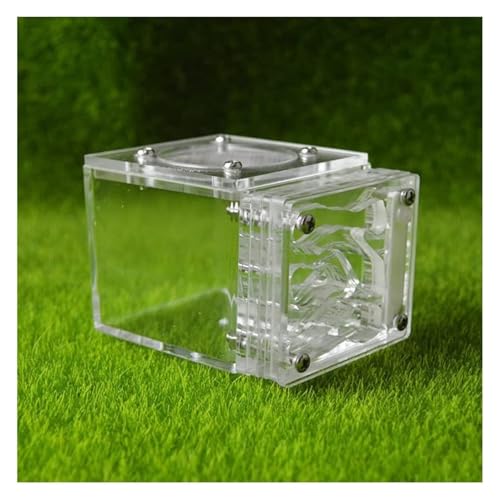 YTBHSHXZ, Quadratischer Ameisenhaufen aus Acryl, Ameisennest, transparent, handgefertigt, einzigartiger pädagogischer Lebensraum für Ameisen, Ameisenhaus (C) von YTBHSHXZ