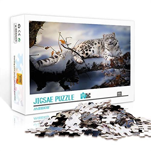 1000 Teile Mini-Puzzle für Erwachsene Snow Classic Puzzle Challenge Spiel Unterhaltung Spielzeug Geschenk (Papppuzzle 38 x 26 cm) Puzzles für Erwachsene und Kinder von YTLIUYUANDE