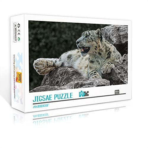 1000 Teile Minipuzzle für Erwachsene Schnee Klassisches Puzzle DIY Spielzeuggeschenk Klassisches Spielpuzzle (Kartonpuzzle 38x26cm) Puzzles für Erwachsene und Kinder von YTLIUYUANDE