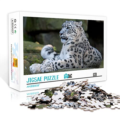 1000 Teile Minipuzzle für Erwachsene Snow Classic Puzzle Anspruchsvolles Puzzlegeschenk (Papppuzzle 38x26cm) Puzzles für Erwachsene und Kinder von YTLIUYUANDE