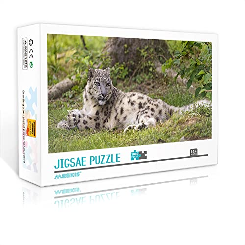 Mini-Puzzle für Erwachsene 1000 Teile Set Schneepuzzle DIY Spielzeuggeschenk Klassisches Spiel Puzzle (38x26cm Kartonpuzzle) Puzzles für Erwachsene und Kinder von YTLIUYUANDE