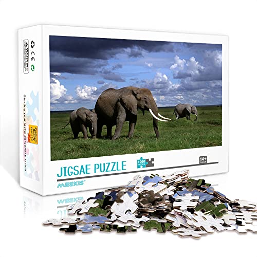 1000 Teile Minipuzzle für Erwachsene Elefant Klassisches Puzzle Familienspiel Puzzle Geschenk (Papppuzzle 38x26cm) Puzzle für Erwachsene 1000 Teile von YTLIXIANGN