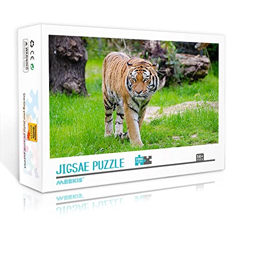1000 Teile Minipuzzle für Erwachsene Tiger Classic Puzzle Herausforderndes Puzzlegeschenk (Papppuzzle 38x26cm) Puzzles für Erwachsene und Kinder von YTLIXIANGN