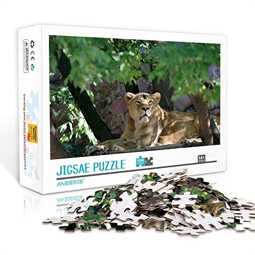 Minipuzzle für Erwachsene 1000 Teile Lion Set Puzzle Anspruchsvolles Puzzlespiel Geschenk (38x26cm Kartonpuzzle) Puzzles für Erwachsene und Kinder von YTLIXIANGN