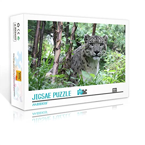 Minipuzzle für Erwachsene 1000 Teile Snow Set Puzzle Puzzle DIY Home Entertainment Spielzeug (Kartonpuzzle 38x26cm) Puzzles für Erwachsene und Kinder von YTLIXIANGN