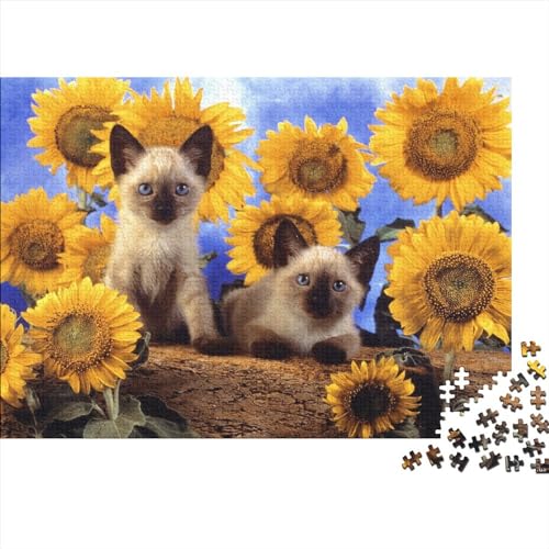 Cat Puzzle 1000 Teile Erwachsene Sunflower Cute Puzzles Für Erwachsene Lernspiel Herausforderungsspielzeug 1000-teilige Puzzles Für Erwachsene 1000pcs (75x50cm) von YTPONBCSTUG