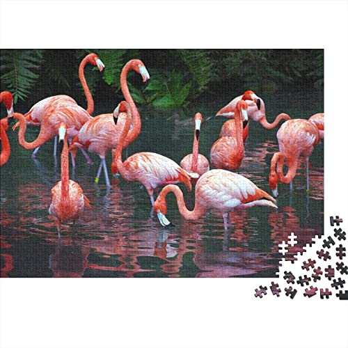 Flamingo Puzzle 1000 Teile Erwachsene Animals Puzzles Für Erwachsene Lernspiel Herausforderungsspielzeug 1000-teilige Puzzles Für Erwachsene 1000pcs (75x50cm) von YTPONBCSTUG