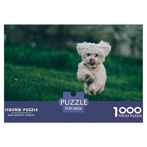 Havanese,Bichon Frise Hölzerne Puzzles Wasserfest 1000 Teile DIY- Puzzle Für Erwachsene Herausfordernd Und Knifflig Puzzle Zur Heimdekoration​ von YTPONBCSTUG