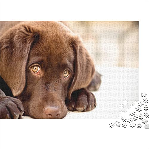 Hund Puzzle 500 Teile Erwachsene Tier Wildtiere Puzzles Für Erwachsene Lernspiel Herausforderungsspielzeug 500-teilige Puzzles Für Erwachsene 500pcs (52x38cm) von YTPONBCSTUG