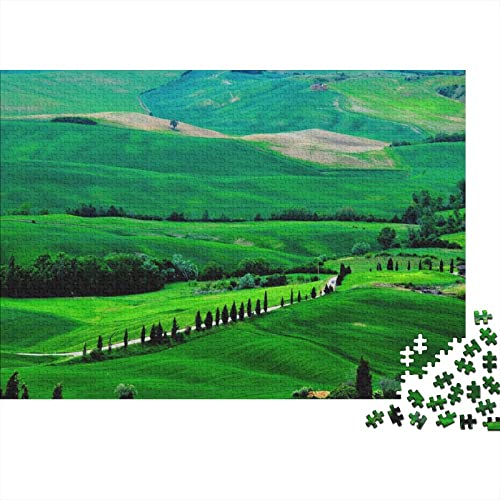 Landschaft 1000 Stück Puzzles Für Erwachsene Stress Abbauen Familien-Puzzlespiel 1000-teiliges Puzzle Erde Natur Lernspiel Spielzeug Geschenk 1000pcs (75x50cm) von YTPONBCSTUG