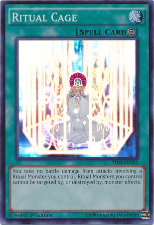 Yu-Gi-Oh! - Ritual Cage (THSF-EN055) - The Secret Forces - 1st Edition - Super Rare von YU-GI-OH!