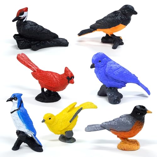Mini-Vogelfiguren 7 Stück Miniatur Vogel Tiermodell Birds Figuren Kuchendeko Vogel Cake Topper Vogel Tierfiguren für Kindergeburtstag Party Themenparty Dekorationen Zubehör Mini-Vogelfiguren 7 Stück Miniatur Vogel Tiermodell Birds Figuren Kuchendeko Vogel Cake Topper Vogel Tierfiguren für Kindergeburtstag Party Themenparty Dekorationen Zubehör von YUEXNKO