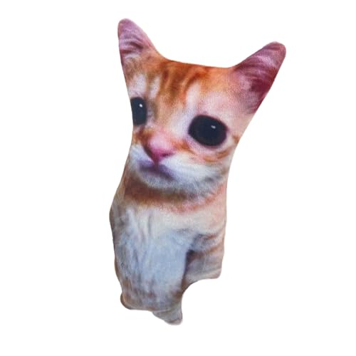 YUGSHNKFC Plüschkissen Weiche Samt Voll Füllende Nicht Formbare Gefüllte Katzen Plüsch Spielzeug Ideal Zum Kuschelnden Dekorativen Sofa Kissen von YUGSHNKFC