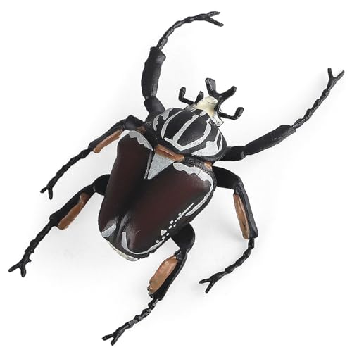 YUGSHNKFC Realistisches Insekten Gogga Modell Für Wissenschaftliche Ausstellungen Und Klassenzimmer. Gogga Modell Zur Ausstellung Und Sammlung YUGSHNKFC Realistisches Insekten Gogga Modell Für Wissenschaftliche Ausstellungen Und Klassenzimmer. Gogga Modell Zur Ausstellung Und Sammlung von YUGSHNKFC