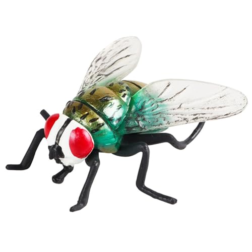 YUGSHNKFC Realistisches Insekten Gogga Modell Für Wissenschaftliche Ausstellungen Und Klassenzimmer. Gogga Modell Zur Ausstellung Und Sammlung YUGSHNKFC Realistisches Insekten Gogga Modell Für Wissenschaftliche Ausstellungen Und Klassenzimmer. Gogga Modell Zur Ausstellung Und Sammlung von YUGSHNKFC