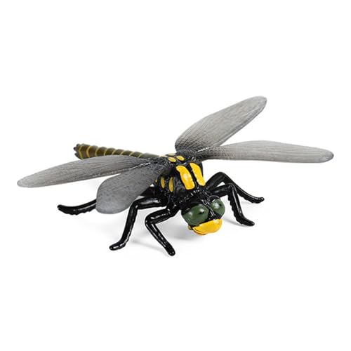 YUGSHNKFC Realistisches Insekten Gogga Modell Für Wissenschaftliche Ausstellungen Und Klassenzimmer. Gogga Modell Zur Ausstellung Und Sammlung YUGSHNKFC Realistisches Insekten Gogga Modell Für Wissenschaftliche Ausstellungen Und Klassenzimmer. Gogga Modell Zur Ausstellung Und Sammlung von YUGSHNKFC