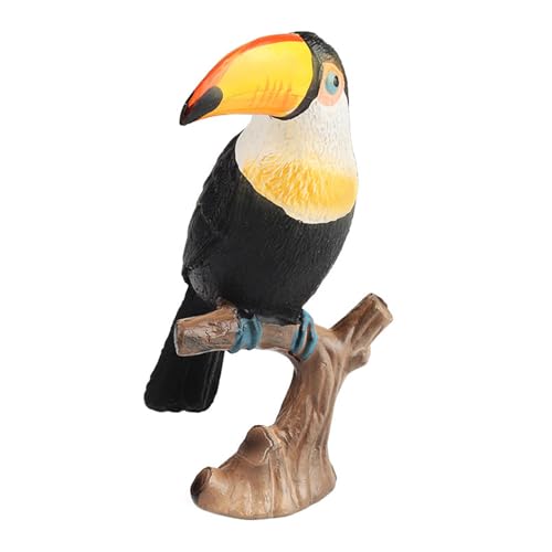 YUGSHNKFC Vogel Toukan Figur Spielzeug Massive Model Figur Realistische Wildtiere Sammelbare Figuren Spielzeug Aquarien Ausrüstungsvorräte YUGSHNKFC Vogel Toukan Figur Spielzeug Massive Model Figur Realistische Wildtiere Sammelbare Figuren Spielzeug Aquarien Ausrüstungsvorräte von YUGSHNKFC