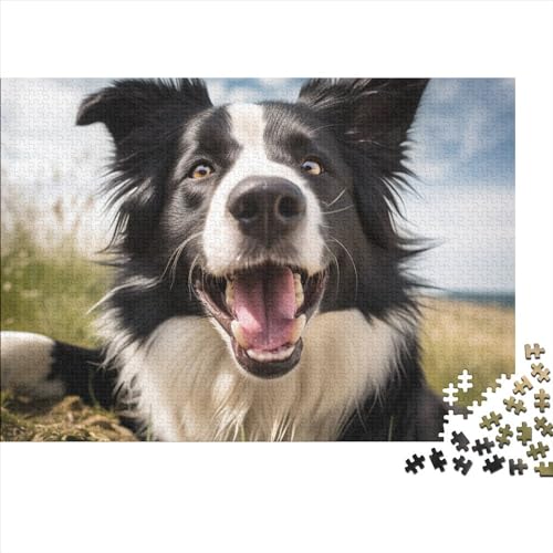 Border Collie– 1000 Teile, Impossible Puzzle, Geschicklichkeitsspiel Für Die Ganze Familie, Farbenfrohes Legespiel, Erwachsenenpuzzle Ab 12 Jahren 1000pcs (75x50cm) von YUXINYUE