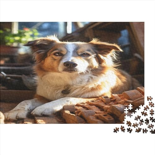 Border Collie Puzzle 300 Teile Erwachsene | Pet Dog | 300 Teile Puzzle Für Erwachsene Und Kinder Ab 14 Jahren Holzpuzzle 300pcs (40x28cm) von YUXINYUE