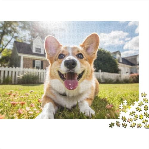 Corgi Puzzle 500 Teile Erwachsene | Cartoon | 500 Teile Puzzle Für Erwachsene Und Kinder Ab 14 Jahren Holzpuzzle 500pcs (52x38cm) von YUXINYUE