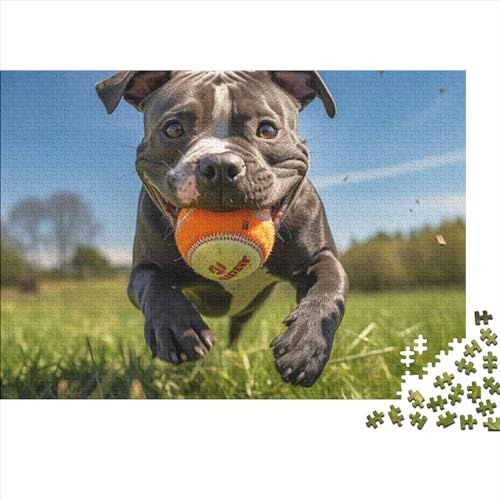 Puzzle 1000 Teile Erwachsene Staffordshire Bull Terrier Puzzles Für Erwachsene Lernspiel Herausforderungsspielzeug 1000-teilige Cartoon Puzzles Für Erwachsene Kinder 1000pcs (75x50cm) von YUXINYUE