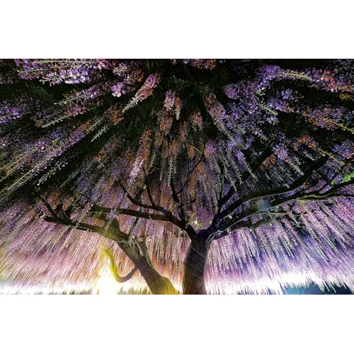 Puzzle für Erwachsene, 1000 Teile, stimulierendes Puzzle für Erwachsene, lustige Spiele für die Familie (52 x 38 cm) von YUXU
