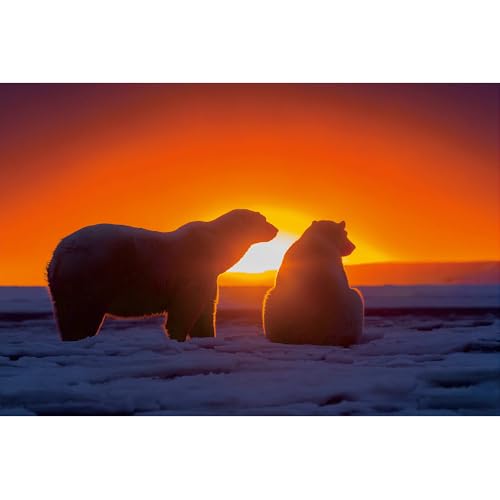 Puzzle für Erwachsene, 1000 Teile, stimulierendes Puzzle für Erwachsene, lustige Spiele für die Familie (52 x 38 cm) von YUXU