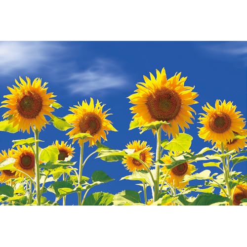 Puzzle für Erwachsene, 1000 Teile, stimulierendes Puzzle für Erwachsene, lustige Spiele für die Familie (52 x 38 cm) von YUXU